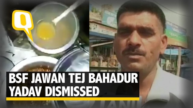 'Jawan Tej Bahadur Yadav Dismissed by BSF After Video Went Viral'