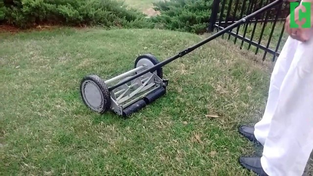 'Could this old-fashioned mower save you money?'