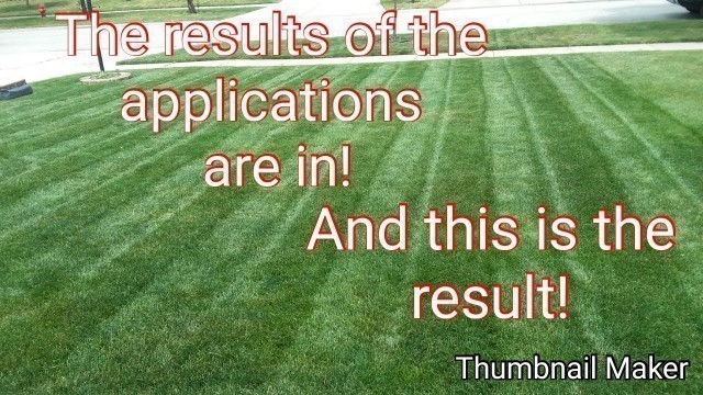 'A good old lawn update- how is the lawn handling the heat? Late May application results'