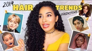 'I PREDICTED 2019 HAIR TRENDS  + OPINIONS *only slightly shady* - Lana Summer'
