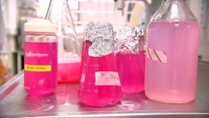 'Using Bacteria To Make Fashion More Sustainable - BBC Click'