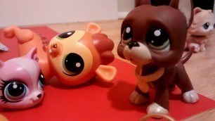 'LPS : Fashion Show BLOOPERS & FAILS!!'
