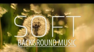 'Soft background music / Vlog Music / Royalty Free Music fashion music no copyright'