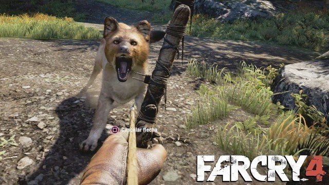 'Far Cry 4 - Tenzin, O Dhole Raro | Kyrat Fashion Week [PS4 | PT-BR]'