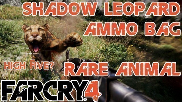 'Rare Animal Hunting | Shadow Leopard | Ammo Bag | Kyrat Fashion Week | Far Cry 4'