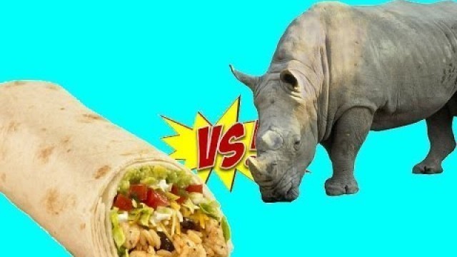 'Burrito vs. Rhino (Far Cry 4, Kyrat Fashion Week)'