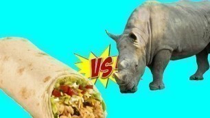 'Burrito vs. Rhino (Far Cry 4, Kyrat Fashion Week)'