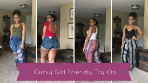 'Curvy Girl Mini Try On | Fashion Nova & More'
