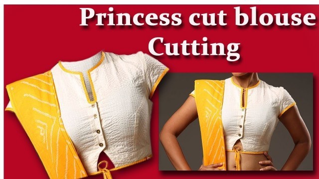 'Princess cut Blouse cutting well explained easy method DIY Hindi Tutorial for beginners EMODE'