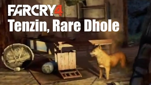 'Far Cry 4 Kyrat Fashion Week: Tenzin, Rare Dhole'