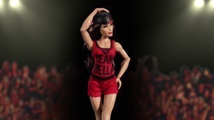 'WWE Superstars Nikki Bella Doll and Fashion | Toys R Us Canada'