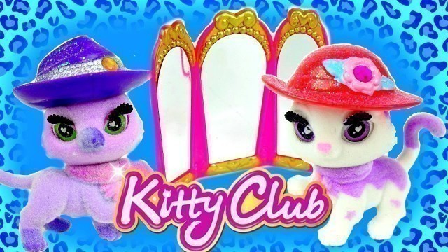 'KITTY CLUB Fashion Photo Shoot! NEW TOYS NOW in USA!'