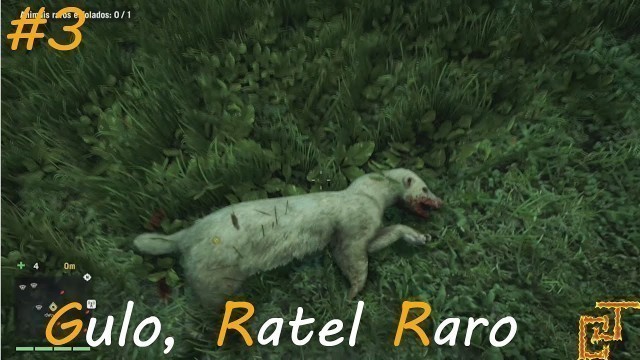 'Farcry 4 (PS4), Gulo, Ratel Raro (Kyrat Fashion Week) #3'